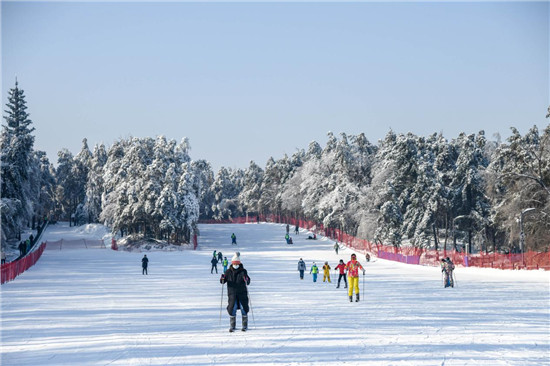 冬奥在北京 体验在吉林 乐享在长春——第25届长春冰雪节盛迎宾朋