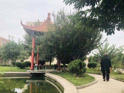 东盟与中日韩积极应对老龄化能力建设培训在南宁启动