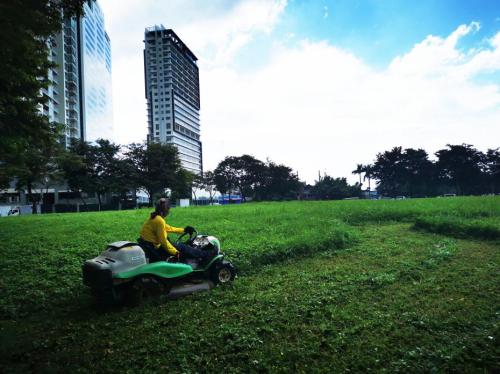 菲律宾农业部“正考虑”对进口大米设定价格上限