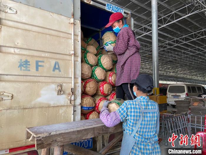 图为工人对越南菠萝蜜进行装卸。　林洁琪 摄